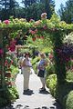 140 - Butchard Gardens  - IMG_1672